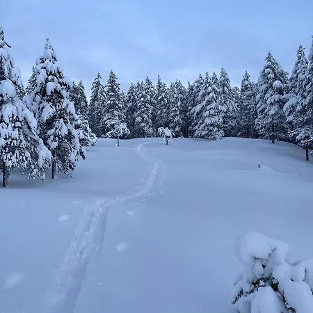 Wood Villa Like In The Middle Of Lapland'S Nature Rokua