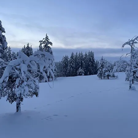 Wood Villa Like In The Middle Of Lapland'S Nature Villa *