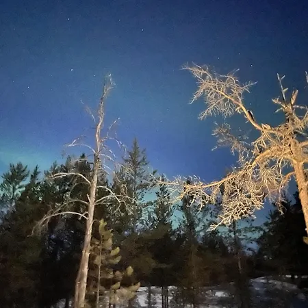 Wood Villa Like In The Middle Of Lapland'S Nature Rokua