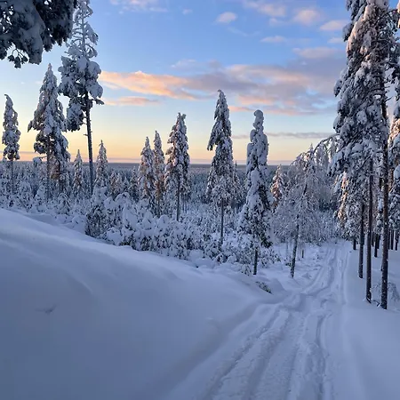 Wood Villa Like In The Middle Of Lapland'S Nature * Rokua