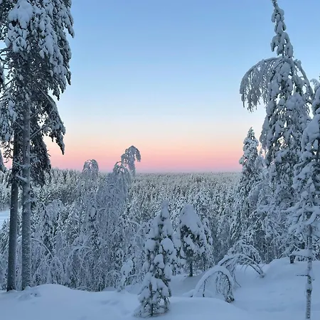 Wood Villa Like In The Middle Of Lapland'S Nature Villa
