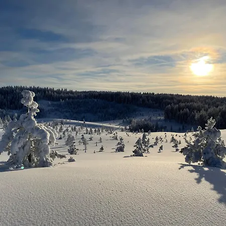 Wood Villa Like In The Middle Of Lapland'S Nature Villa Rokua
