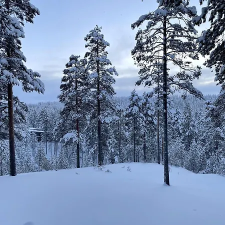 Wood Villa Like In The Middle Of Lapland'S Nature Rokua