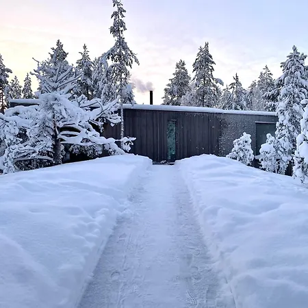 Villa Wood Villa Like In The Middle Of Lapland'S Nature