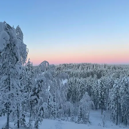 Wood Villa Like In The Middle Of Lapland'S Nature Rokua